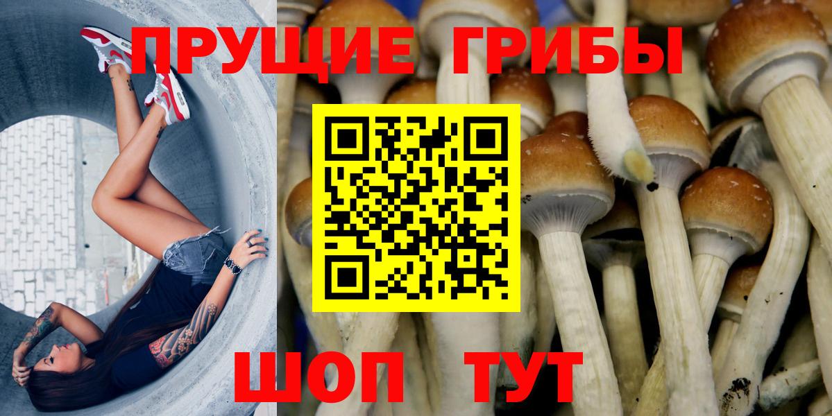 Галлюциногенные грибы Magic Shrooms Скопин