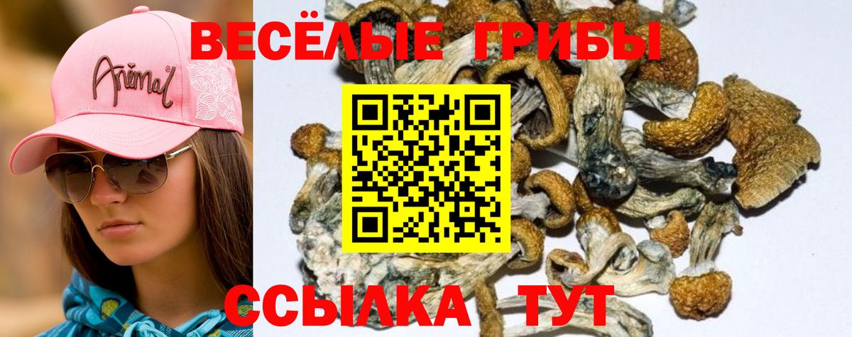 Галлюциногенные грибы ЛСД  Вход с VPN  Скопин 